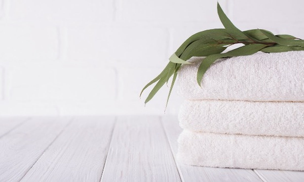 Clean Cotton Wax Melt