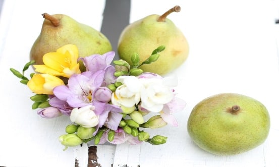 'English Pear & Freesia Car Diffuser