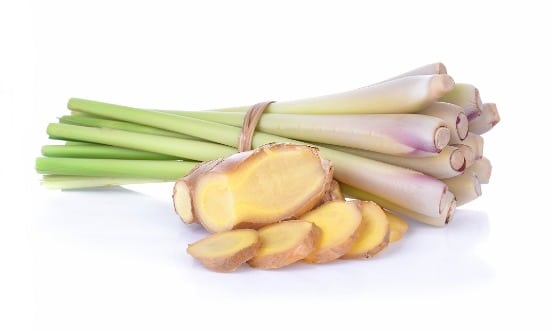 Lemongrass & Ginger Wax Melt