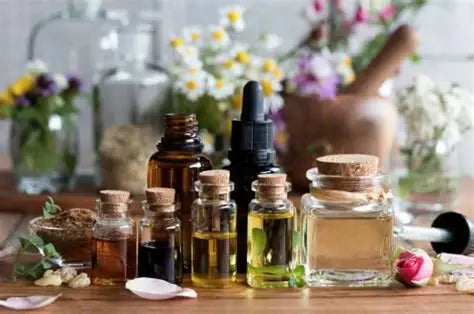 Witches Brew Fragrance Oil