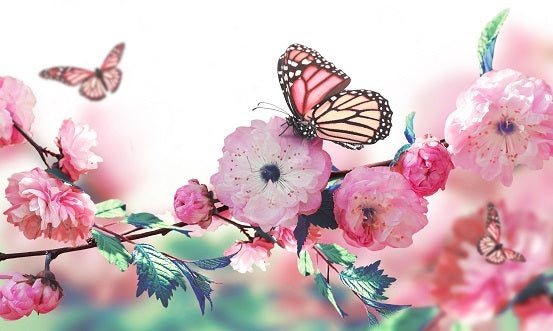 Butterfly Hugs Diffuser Refill
