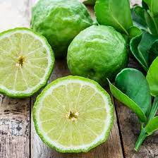 Bergamot & Patchouli Diffuser Refill